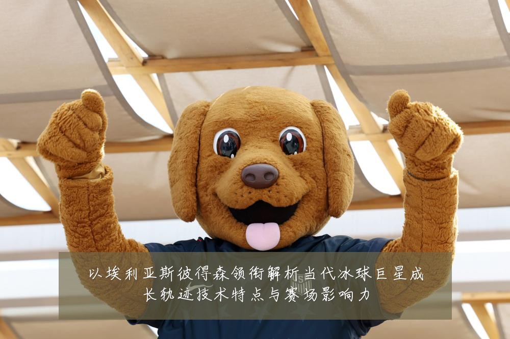 以埃利亚斯彼得森领衔解析当代冰球巨星成长轨迹技术特点与赛场影响力